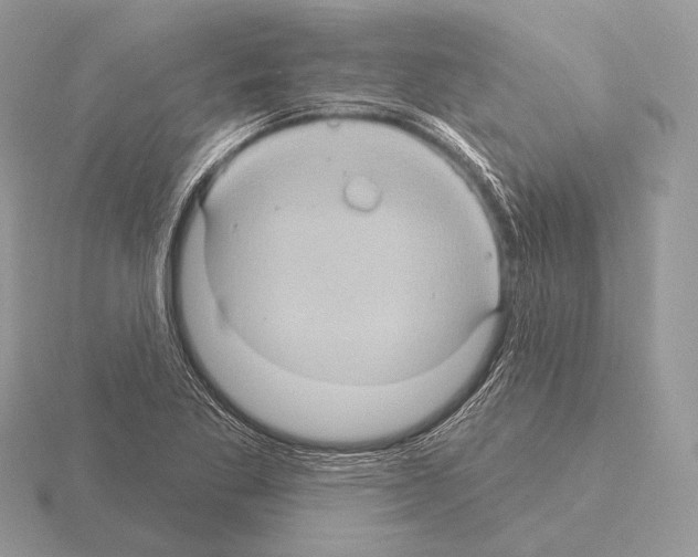 X0000115321269200912141150