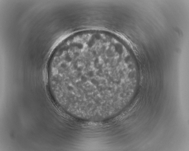 X0000115321271200912141150