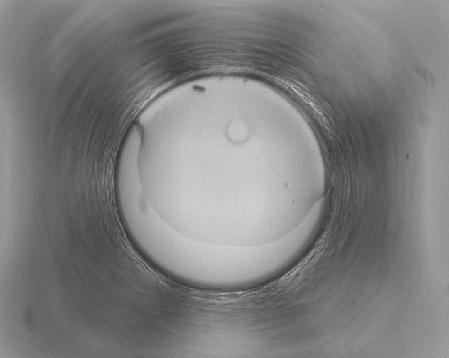 X0000115321273200912141150