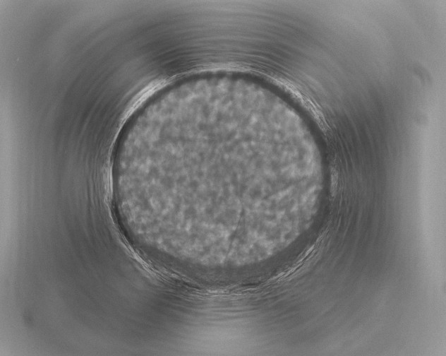 X0000115321274200912141150