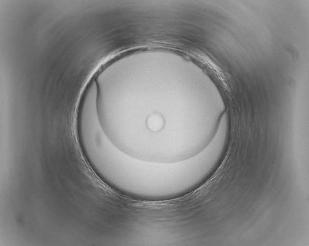 X0000115321280200912141150