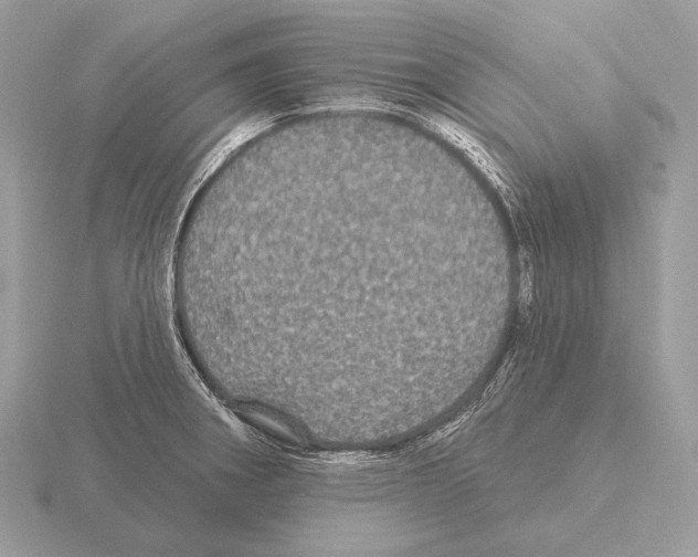 X0000115321282200912141150