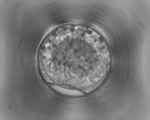 X0000115321283200912141150