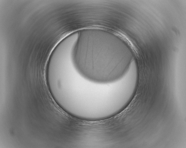 X0000115321284200912141150