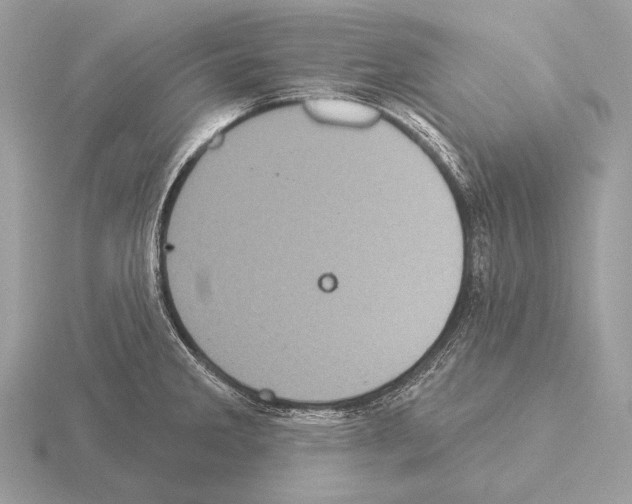 X0000115321285200912141150