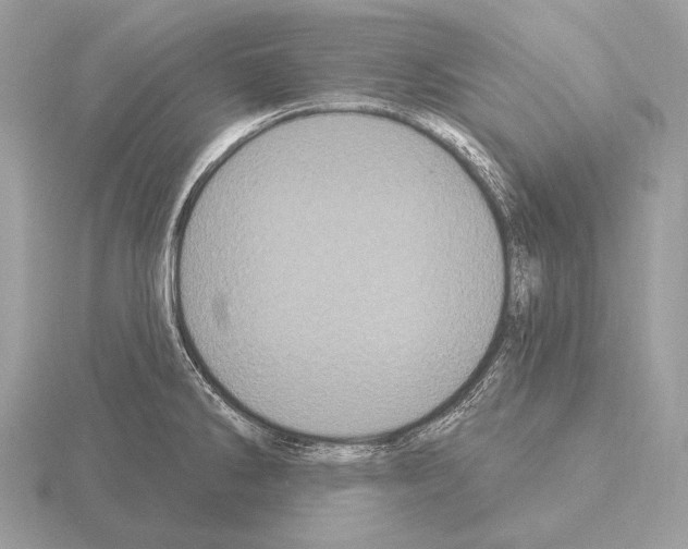 X0000115321286200912141150