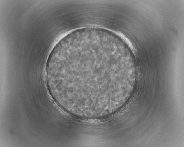 X0000115321287200912141150