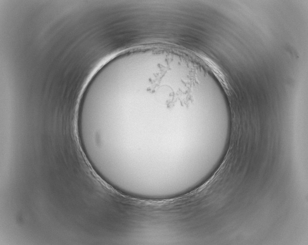 X0000115321288200912141150