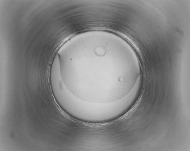 X0000115321289200912141150