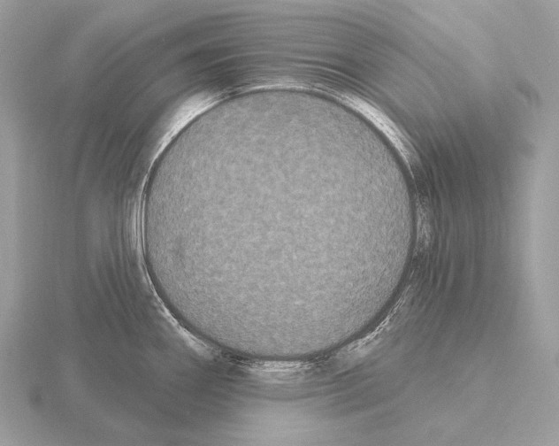 X0000115321290200912141150