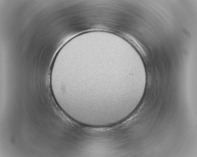 X0000115321292200912141150