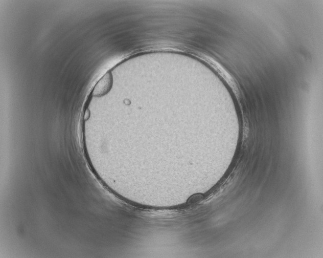 X0000115321293200912141150