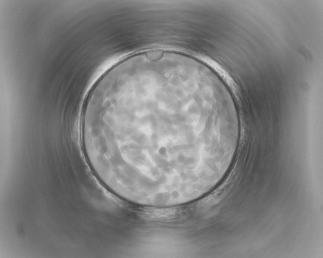 X0000115321294200912141150