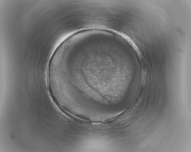 X0000115321295200912141150