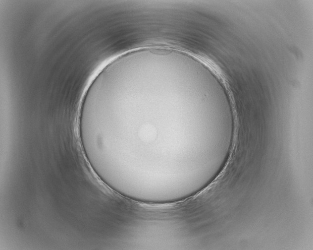 X0000115321296200912141150