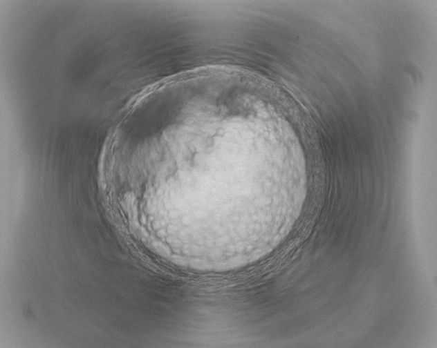 X0000115321297200912141149