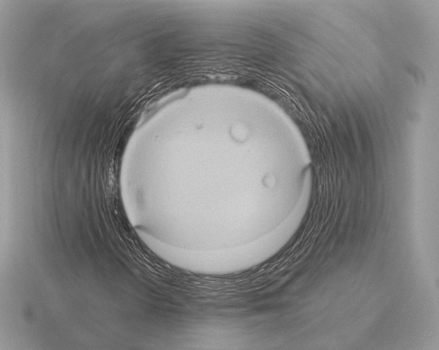 X0000115321298200912141149