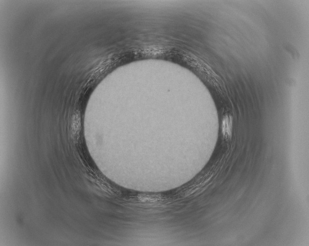 X0000115321299200912141149