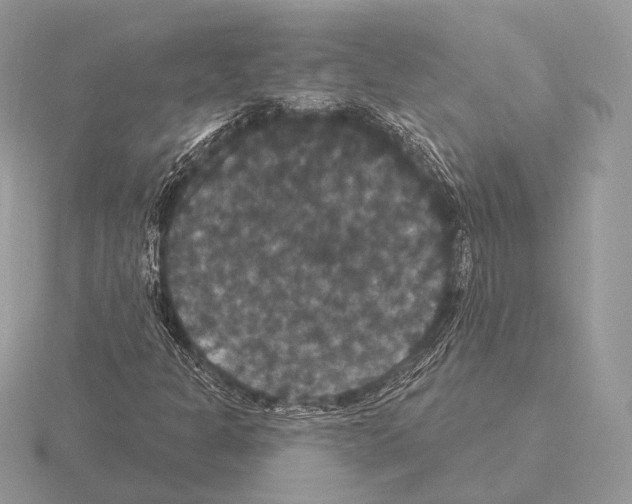 X0000115321301200912141149