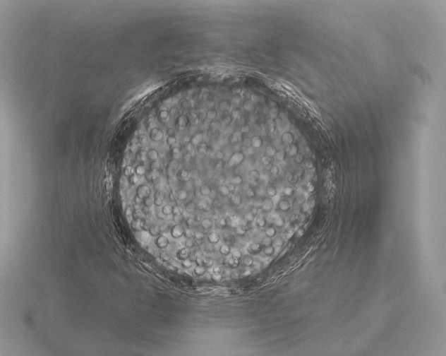 X0000115321302200912141149