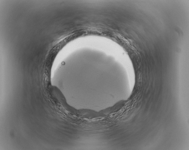 X0000115321303200912141149