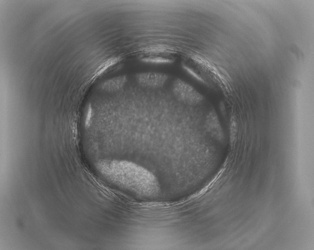 X0000115321305200912141149