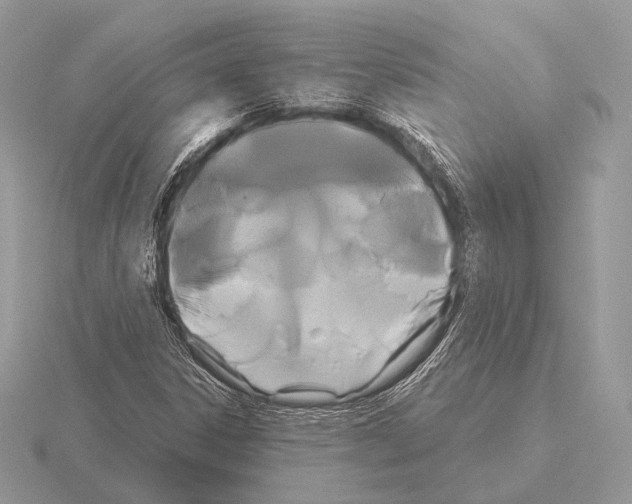 X0000115321306200912141149