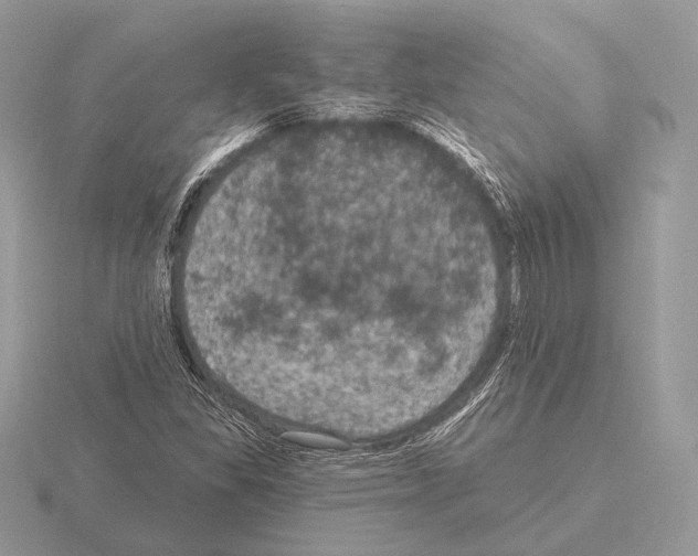 X0000115321309200912141149