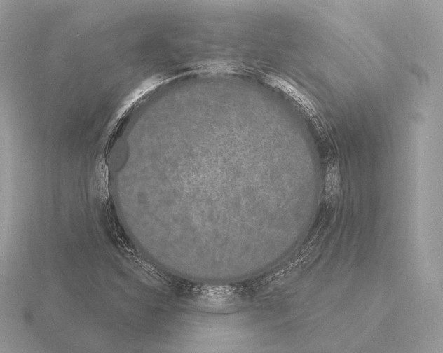 X0000115321310200912141149