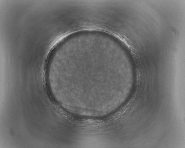 X0000115321311200912141149