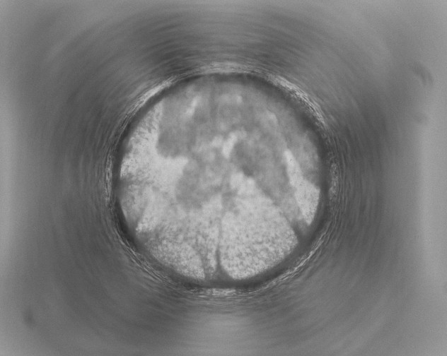 X0000115321313200912141149