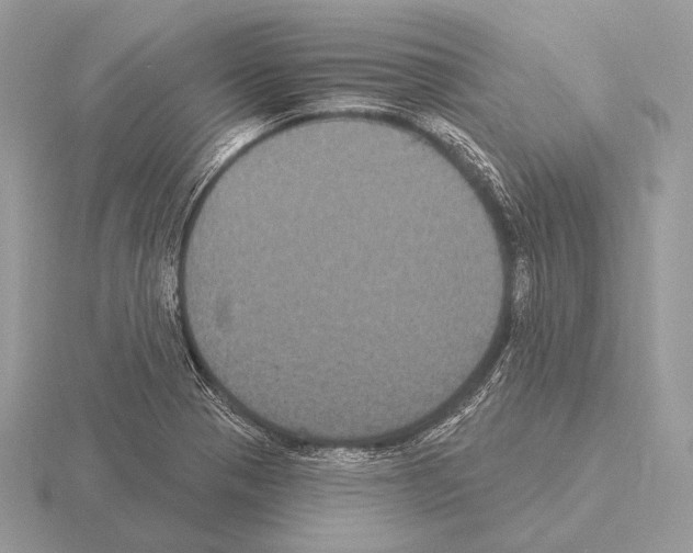 X0000115321321200912141150