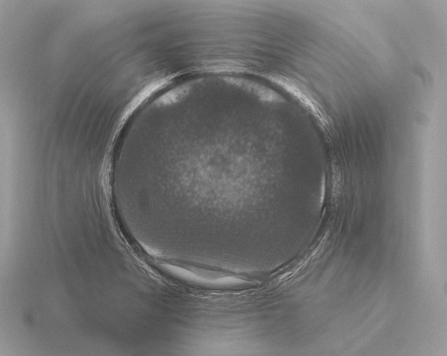 X0000115321325200912141150