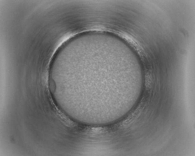 X0000115321326200912141150