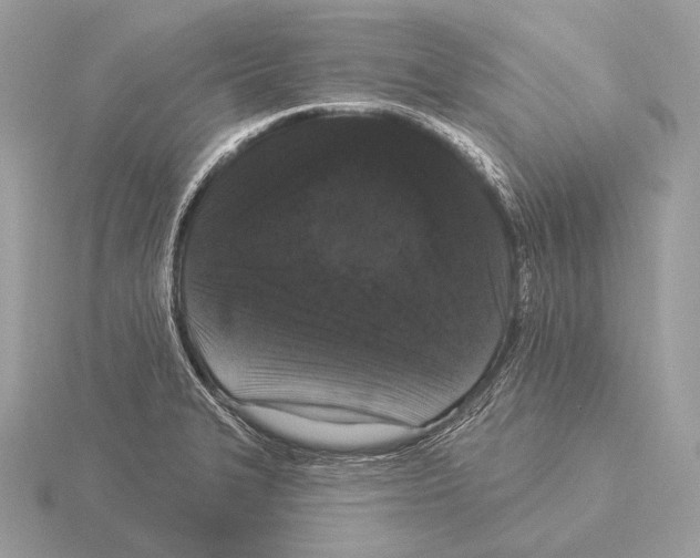 X0000115321327200912141150