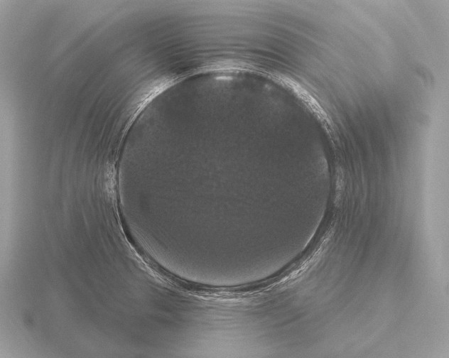 X0000115321329200912141150