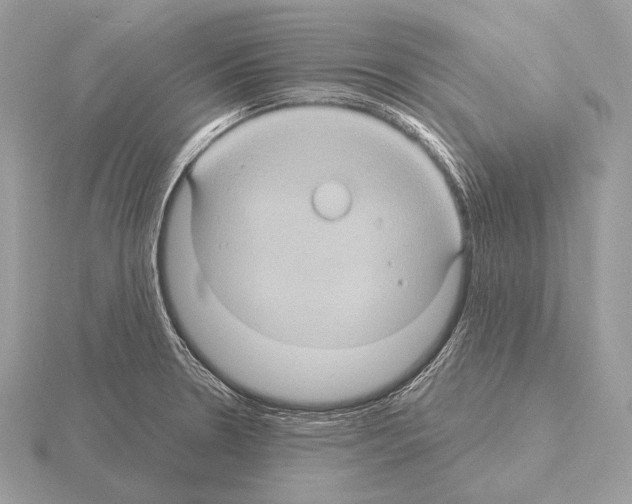 X0000115321330200912141150