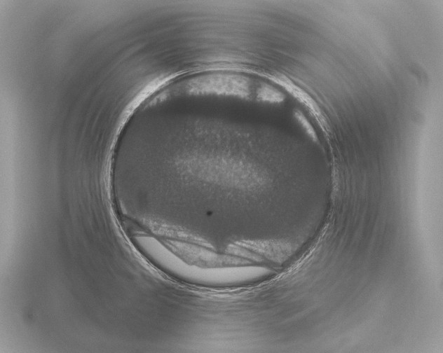 X0000115321333200912141150