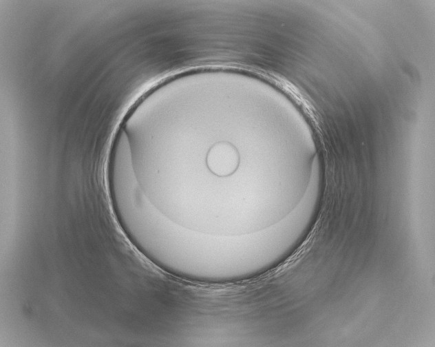 X0000115321334200912141150