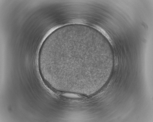 X0000115321339200912141150