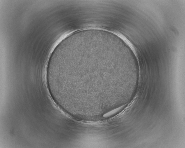 X0000115321341200912141150