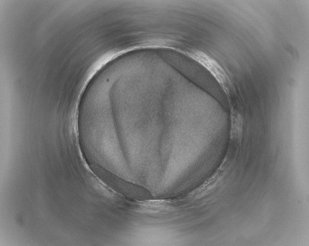 X0000115321342200912141150