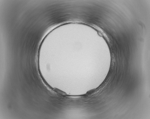 X0000115321343200912141150