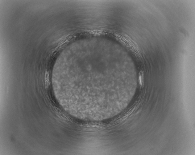 X0000115321347200912141149