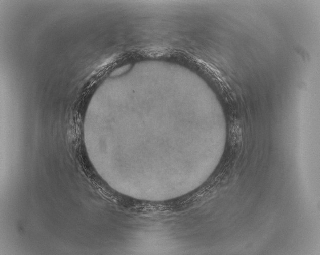 X0000115321349200912141149