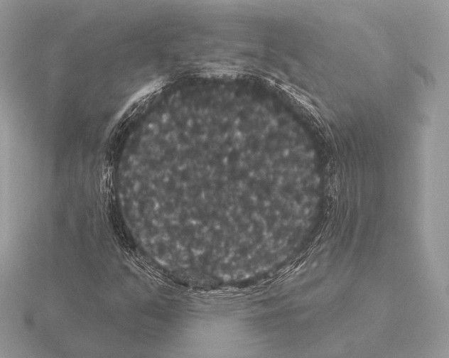 X0000115321351200912141149