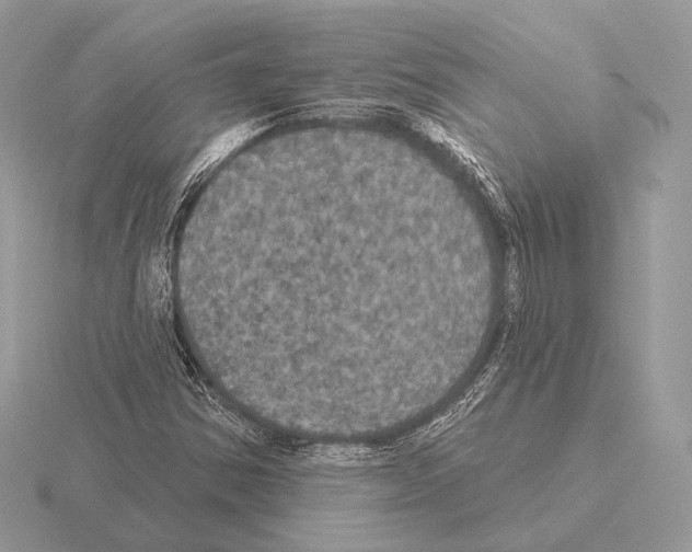 X0000115321354200912141149