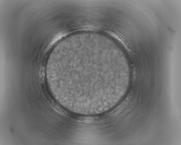 X0000115321355200912141149