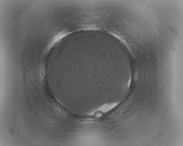 X0000115321359200912141149