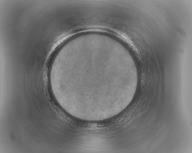 X0000115321360200912141149